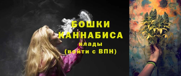 индика Верхнеуральск
