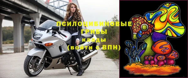 шишки Волосово