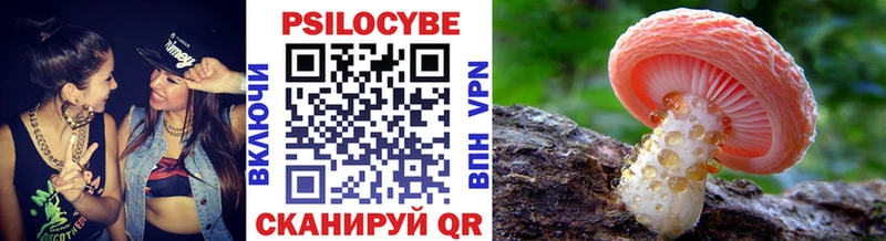Псилоцибиновые грибы Psilocybe  Копейск 